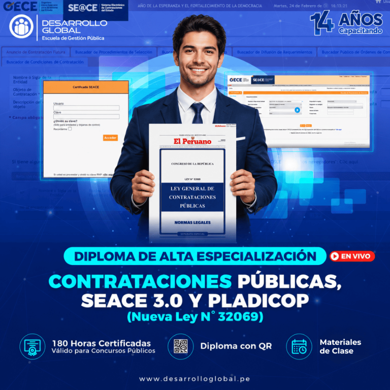 Nueva guía MEF