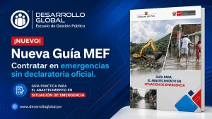 Nueva guía MEF